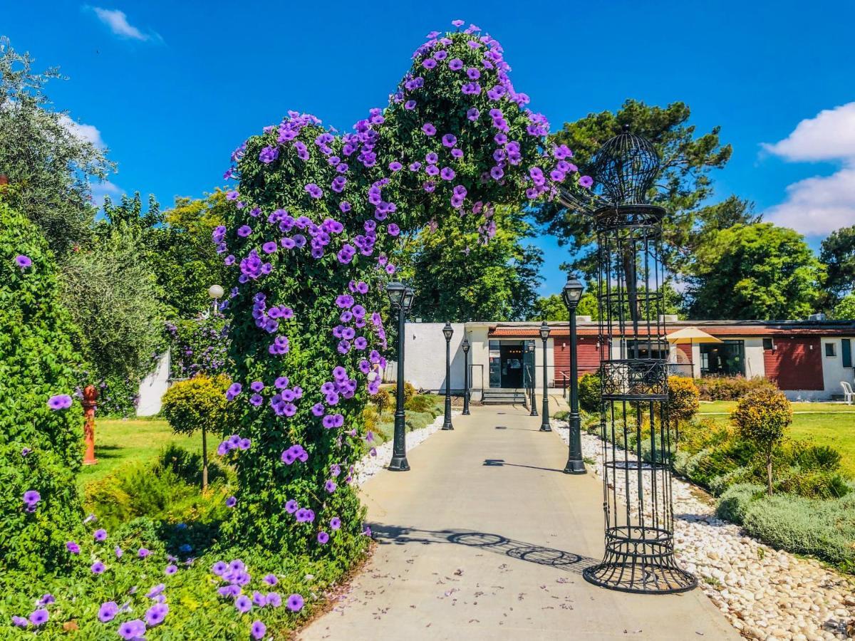 Erettz Dafna Travel Hotel Exteriér fotografie